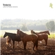 Tosca - Pony No Hassle Versions